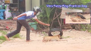 Very Funny Ring & Big Box Prank on Sleeping Dog so funny running so far