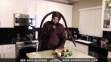 Gopher Patrol - Roach - 30 Second Spot