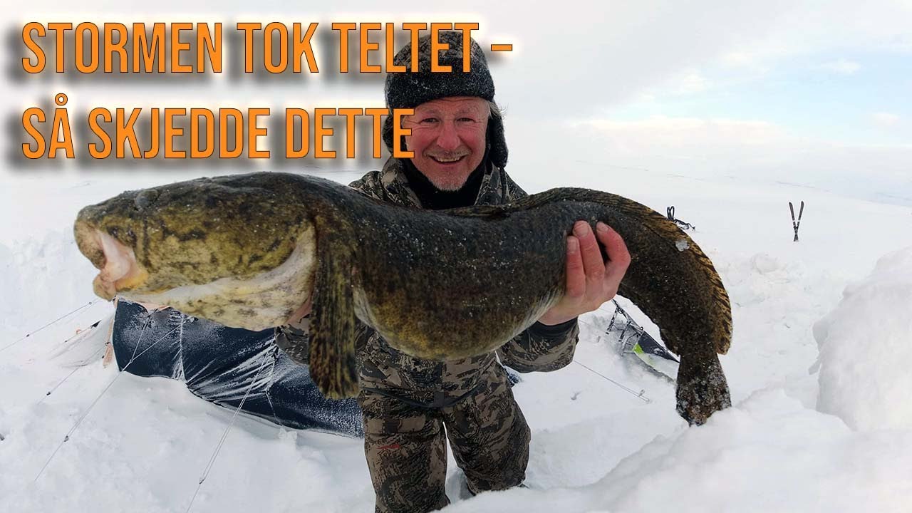 Teltet Kollapser i Snøstormen! – Men Jeg Får Tidenes Fangst Del 2