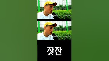 Thumbnail of 찻잔(노고지리) -  쇼 [블루투스마이크] 독사형님cover - JANG YU GEUN