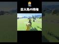 ボコブリンとサッカーを楽しむ英傑 #shorts #ゼルダの伝説ティアーズオブザキングダム #ティアキン