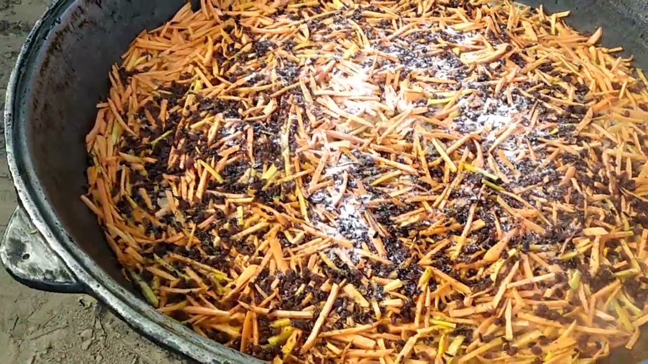 .ЖИЗЗАХ ВИЛ.АРНАСОЙ У́ЗГАЧА ШУКУХ.ЭСКИ ДАМЛАРНИ СОГИНГАЛАРГА