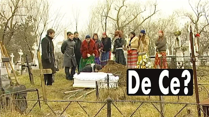 de ce? --- Viziru in serialul REGINA