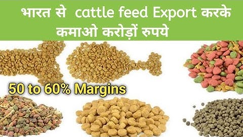 how to export cattle feed from india, animal feed exports from india