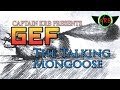 The bizarre story of gef the talking mongoose