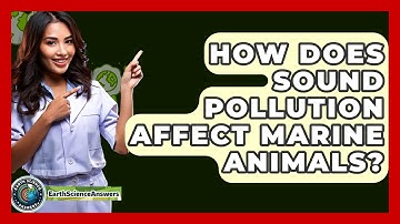 How Does Sound Pollution Affect Marine Animals? - Earth Science Answers