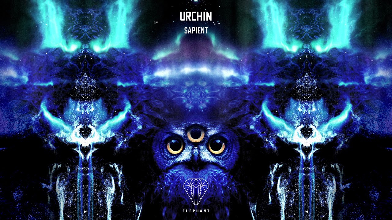 Watch Elephant Music - Sapient on YouTube Watch Elephant Music - Sapient on YouTube