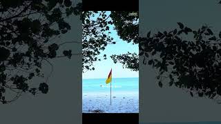 Havelock Island (Swaraj Dweep) #travel #lifeisbutadream #minivlog #love