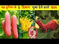 इन 5 फलों को देखने के लिए नसीब लगता है😲 !  5 Most Amazing &amp; Rare Fruits in the World !