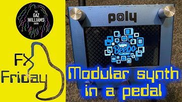 FXFriday - Poly Beebo first look