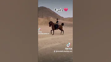 وفين قلبى اللي خدته معاك 