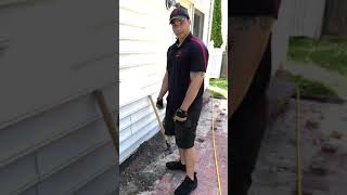Milford, Delaware Termite Treatment