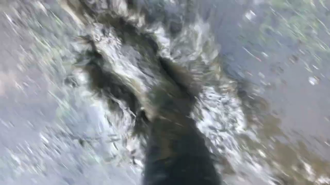 Riding boots walking in the swamp