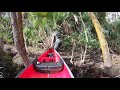 Canoeing to an ancient indian shell ring and spring with jungle jay adventures