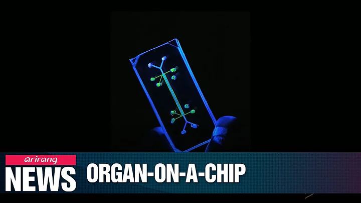 Organ chips could replace animal testing, enhance clinical trials