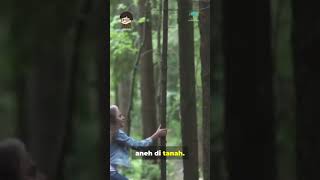 Lubang Uang Oak Island Kenapa Selalu Gagal #secret #map #treasure #mystery #facts #viral #update