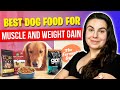 Top Dog Food to Gain Weight and Muscle (Review For All Dogs)