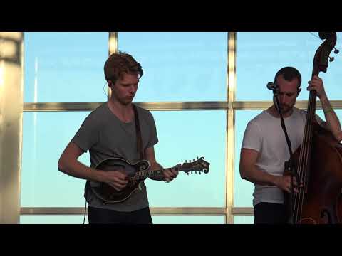 Billy Strings - Dust In The Baggie