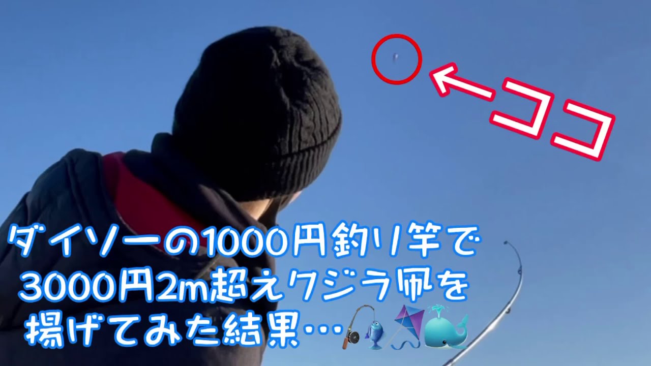 ダイソーの1000円釣り竿で3000円2m超えクジラ凧を揚げてみた パパの自由研究 Youtube