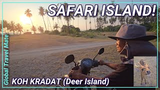 Island SAFARI on Koh Kradat (Deer Island) 🇹🇭 Thailand