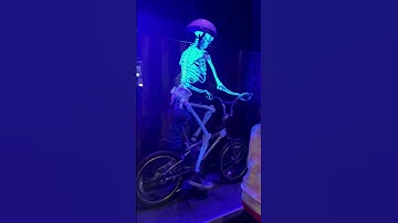 Have you ever seen a Skeleton Bike? # shorts
