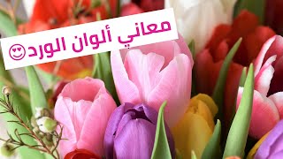 🎨معاني ألوان الورد💐🌸🌻 | الألوان بالإنجليزية | VOCABULARY | تعلم كلمات جديدة | فيديو كله ورود