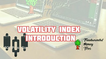 Volatility index introduction