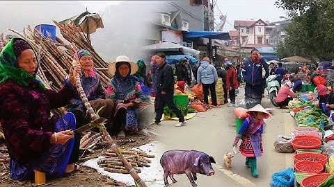 🔥 CHOÁNG NGỢP VỚI PHIÊN CHỢ CÁN CẤU – LỢN CẮP NÁCH, CHỢ CHIM & ĐẶC SẢN KHÔNG TƯỞNG!