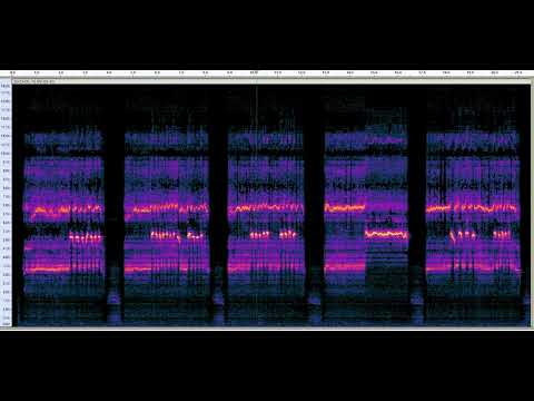 Spectrogram of Ancient Flute Playing #shorts