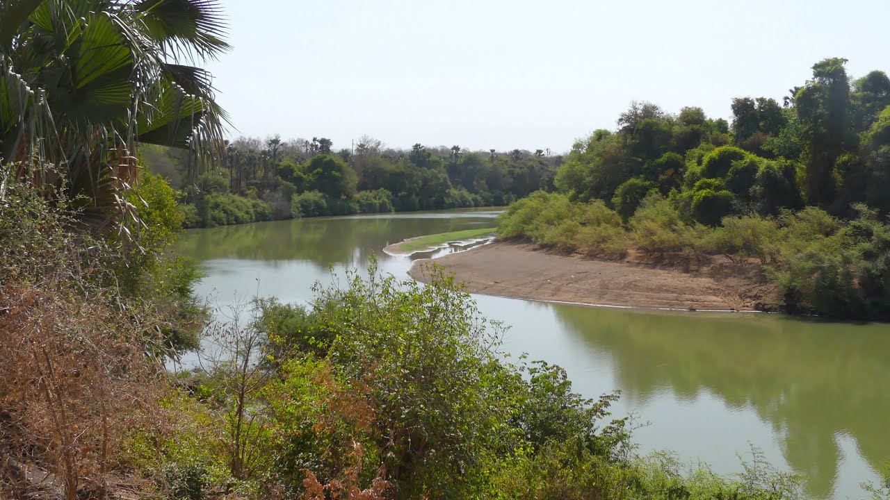 2024 Senegal Parc Niokolo Koba