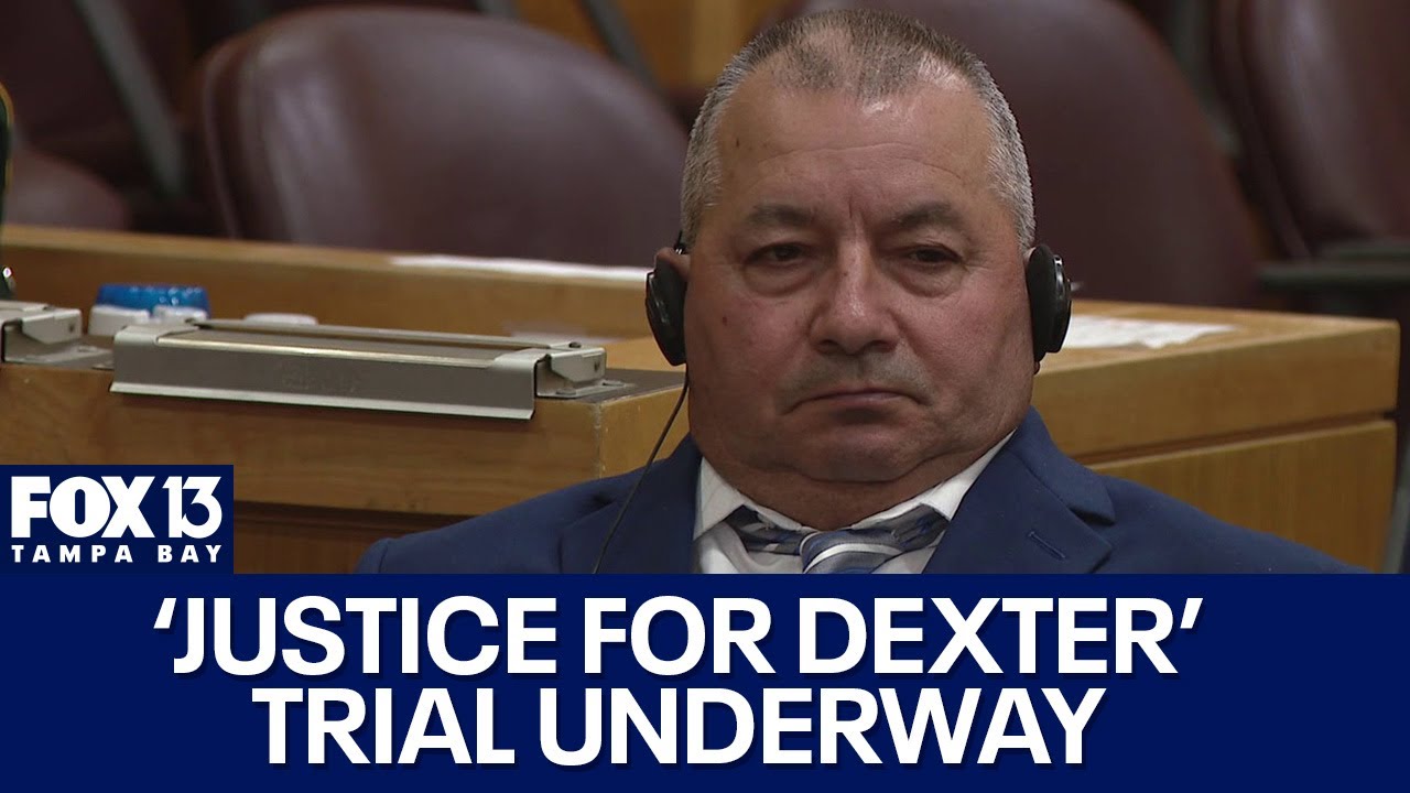 Trial begins for man accused of killing newly adopted dog - YouTube