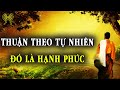 Thuận Theo Tự Nhiên Ta Sẽ Hiểu Được Vạn Sự Tùy Duyên Vạn Sự Đau Khổ Đều Do Con Người Cưỡng Cầu Mà Ra