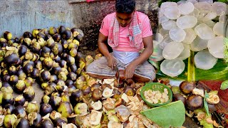 Ice apple very healthy and testy | Amazing Palm Fruit Cutting Skills|Indian street food