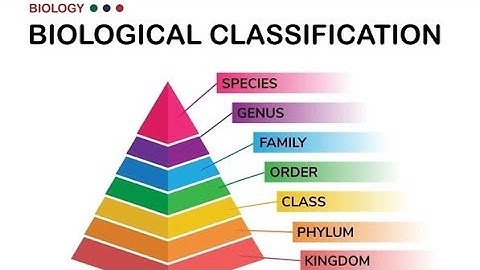 Biological Classification Simplified | Class 11 Biology Chapter 2