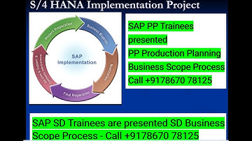 SAP PP Trainees are presented PP Business Scope Process - Call +9178670 78125