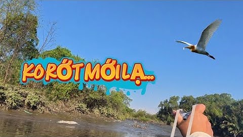 Ná cao su - S.Ă.N CÒ bằng VỎ LÃI - ẨM THỰC cùng cha con CÔ GÁI MIỀN TÂY trải nghiệm thú vị trên sông