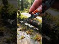 This Tiny STIHL Chainsaw Cut Through a Moss Covered Branch! 😲🔥 #shorts #satisfyingvideo #minitools