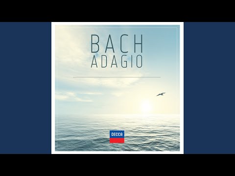 Putar Partita No. 4 in D Major, BWV 828 : J.S. Bach: Partita No. 4 in D Major, BWV 828: II. Allemande - Benjamin Grosvenor