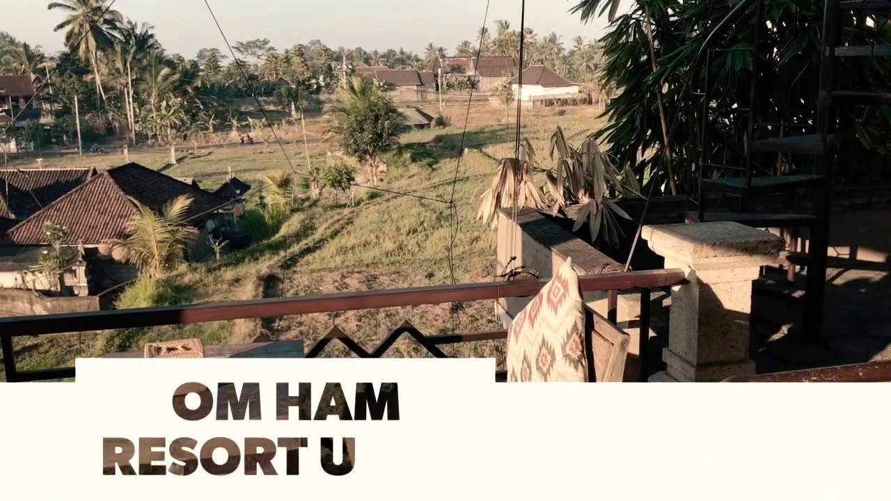 Ubud Monkey Forest Visit in Bali, Indonesia - Om Ham Retreat and Resort