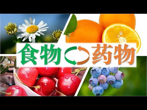 12种可代替药物的水果和食物  🍒  水果替代药物的方法，不可不知的食物亦药物  (字幕点击CC)