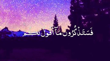 قرآن كريم بصوت مشاري العفاسي حالات واتس اب دينية - سورة غافر