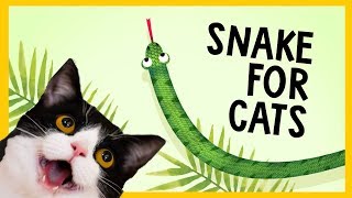 SNAKE FOR CATS