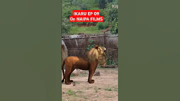IKARU Naipafilm Clamvevo Stevemweusi Diamondplatnumz Zuchu Cinema Funny 