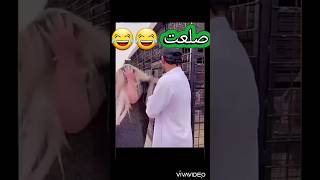 فضيـــ.حه مروة راتب (شعرها طلع باروكه) 