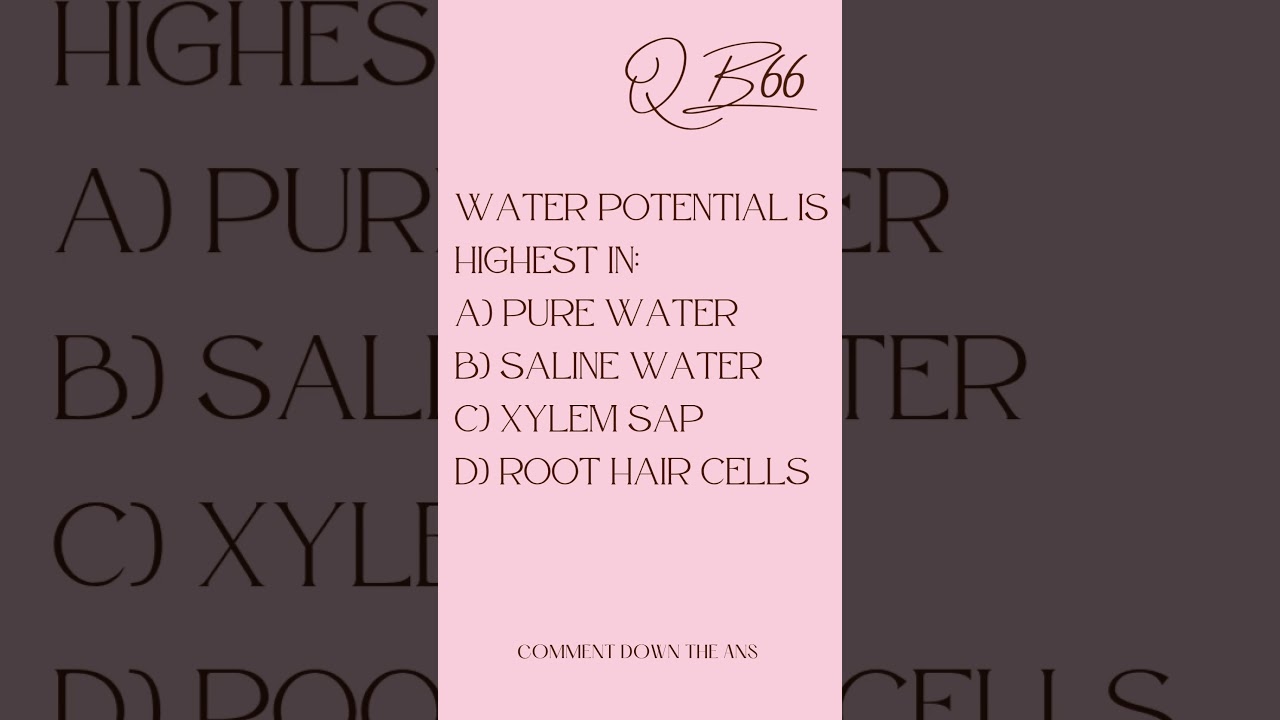 “NEET Biology Rapid Fire 🔥 Must-Solve Questions”