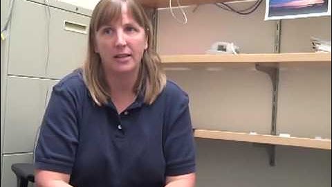 Computer Code Gives Astrophysicists First Full Simulation of Star