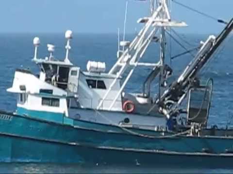 Purse Seine Fishing Boat - YouTube