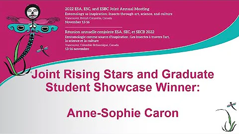 Joint Rising Stars and Graduate Student Showcase W...