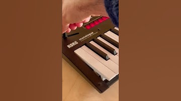 Notorious K-O-R-G #korg #monologue #synth #musicproduction #moogaudio