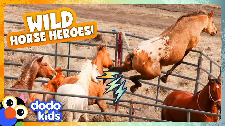 5 Wild Horses And Their Families Share One Incredible Adventure | Dodo Kids | Wild Horse Heroes - DayDayNews